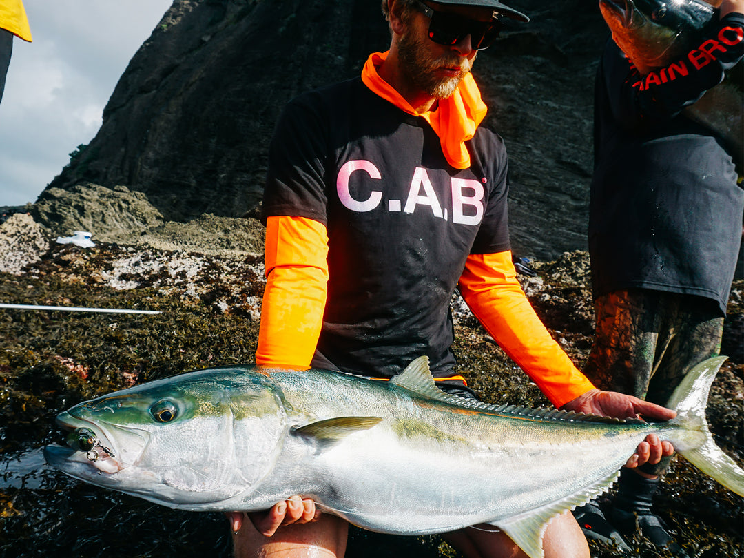 Brendan Collins, Kingfish New Zealand