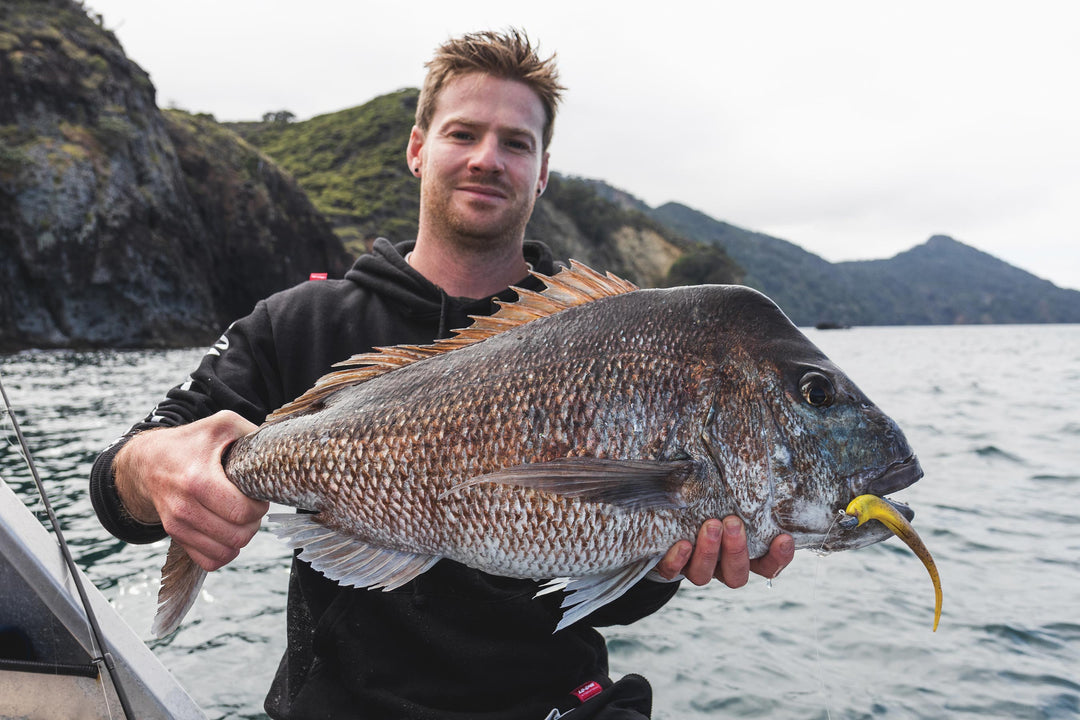 Devon Horgan, Snapper, New Zealand