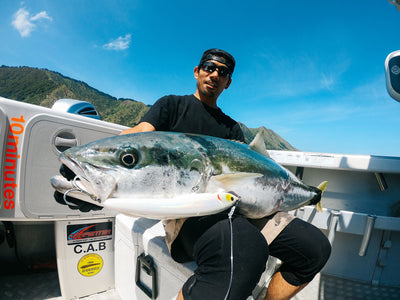 Hiroyuki Mashimo, Kingfish, New Zealand.