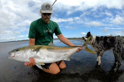 Brendan Collins, Kingfish, New Zealand