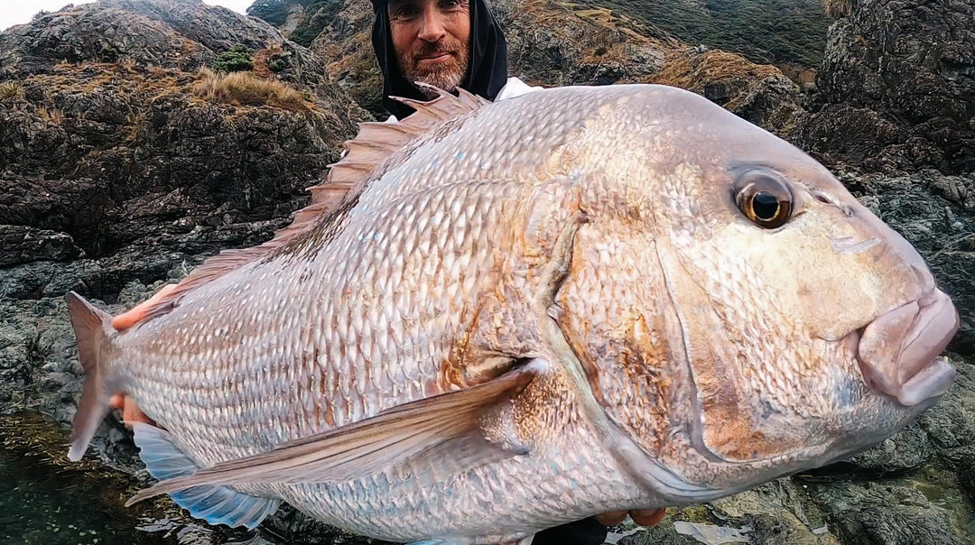 Tim Plews, Landbased Snapper on a Softbait - New Zealand