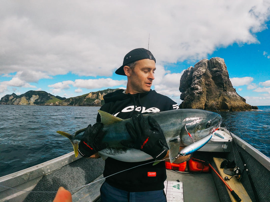 Thomas Daly, Kingfish, New Zealand